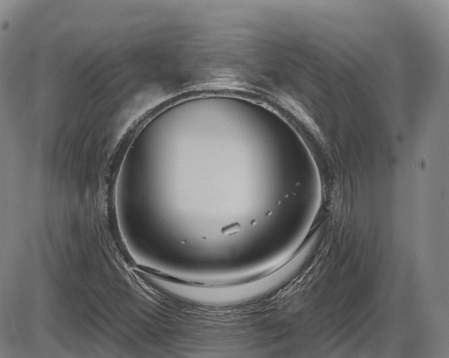X0000086071356200703301056