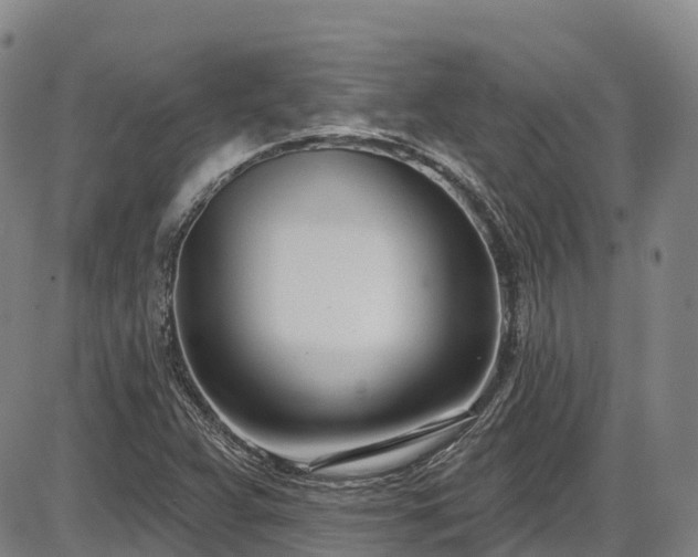 X0000086071359200703301056
