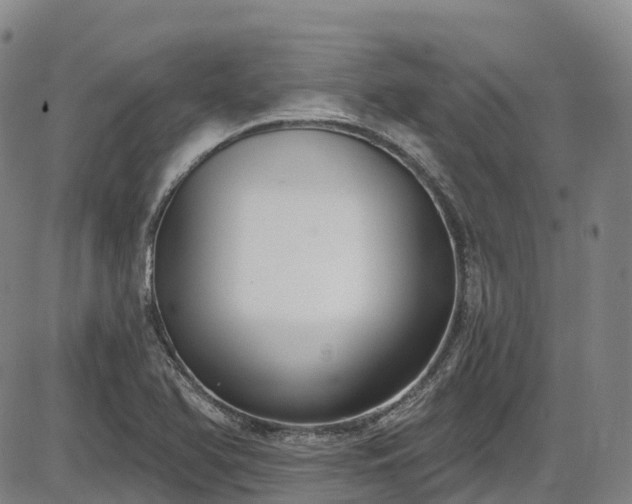 X0000086071366200703301055