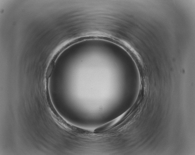 X0000086071372200703301055