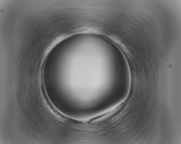 X0000086071375200703301055