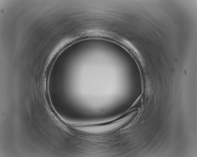 X0000086071376200703301055