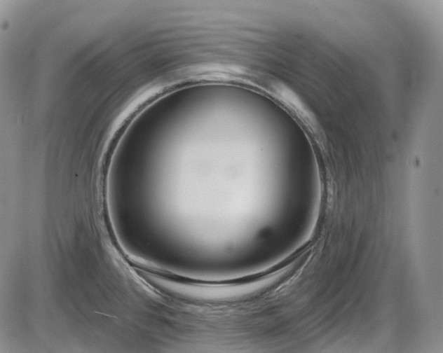 X0000086071384200703301055