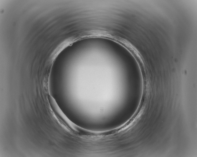X0000086071385200703301055