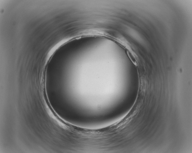 X0000086071387200703301055