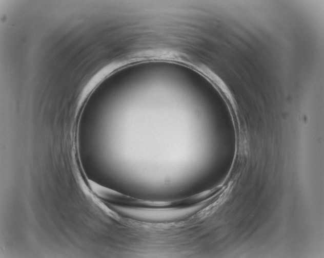 X0000086071389200703301055