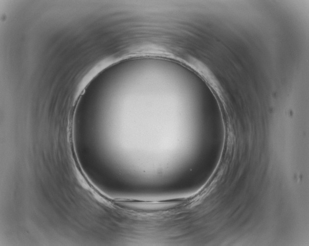 X0000086071390200703301055
