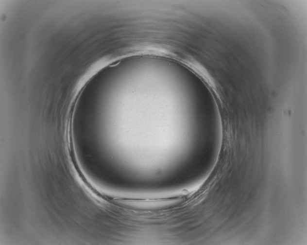 X0000086071391200703301055