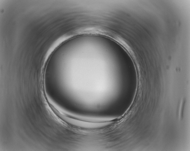 X0000086071392200703301055