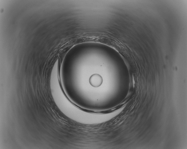 X0000086071394200703301054