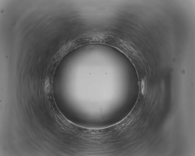 X0000086071395200703301054