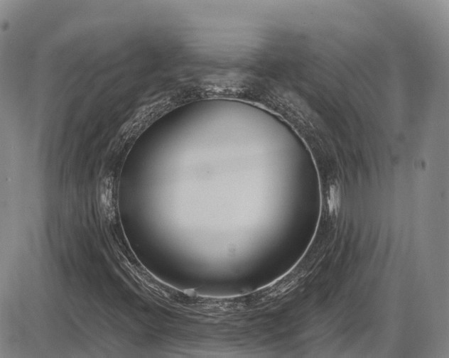 X0000086071396200703301054