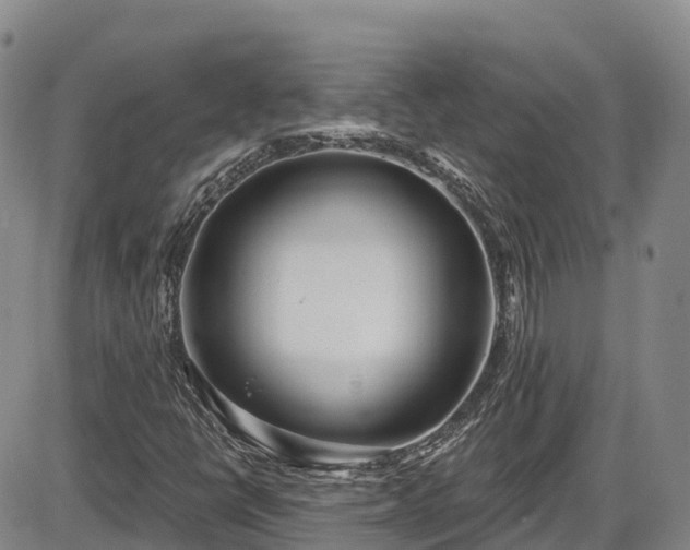 X0000086071398200703301054