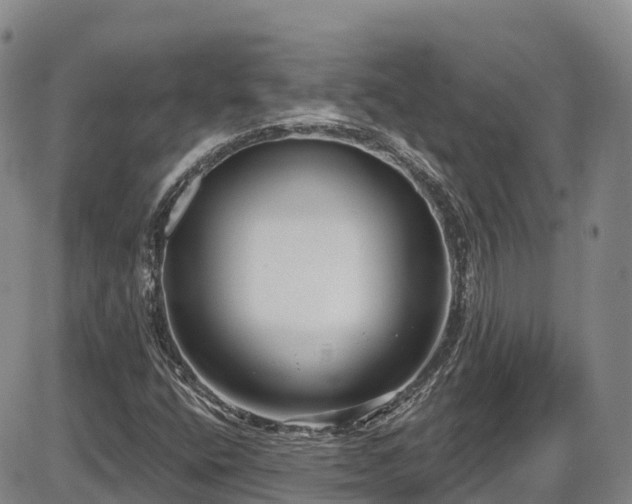 X0000086071400200703301054
