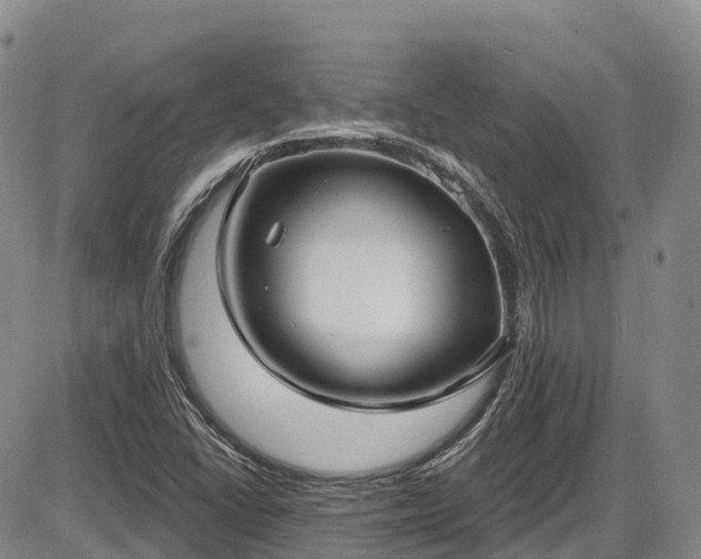 X0000086071406200703301054