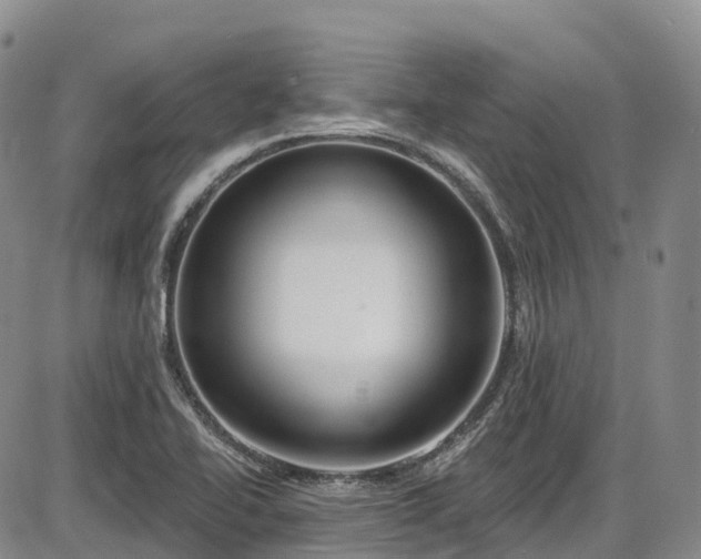 X0000086071414200703301055