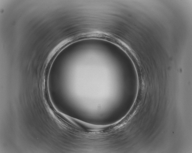 X0000086071418200703301055