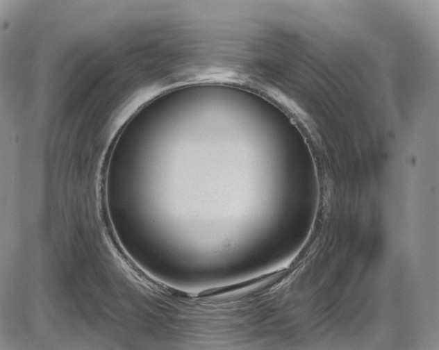 X0000086071423200703301055