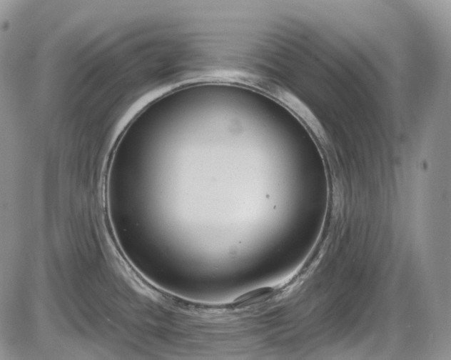 X0000086071436200703301055