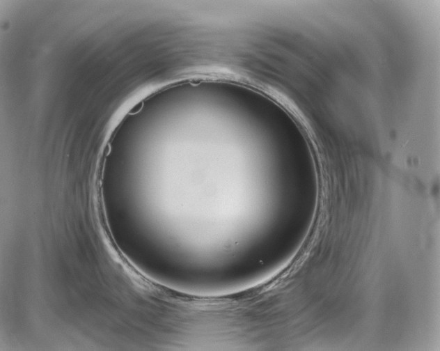 X0000086071440200703301055