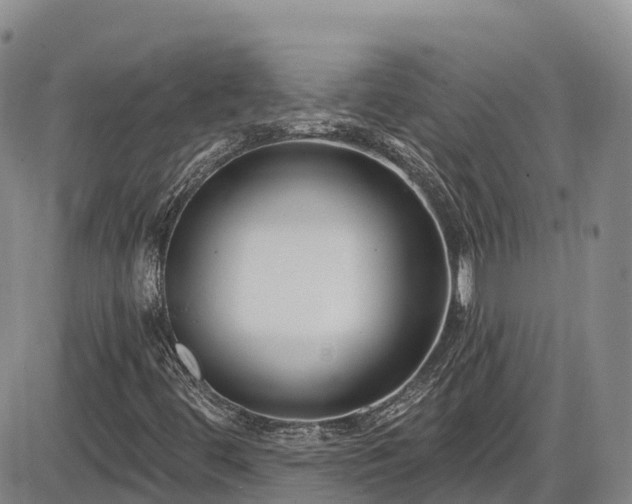 X0000086071444200703301054