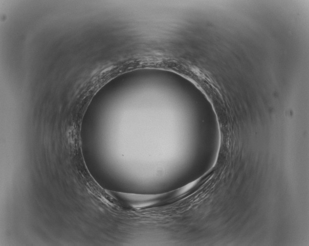 X0000086071445200703301054