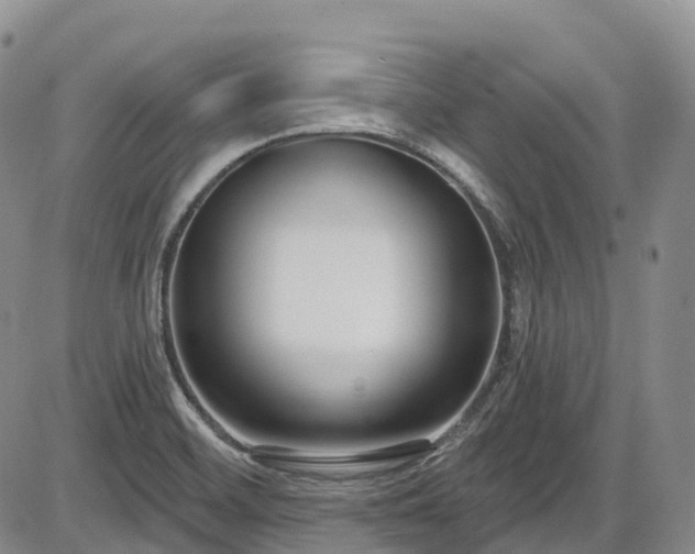 X0000086071468200703301054