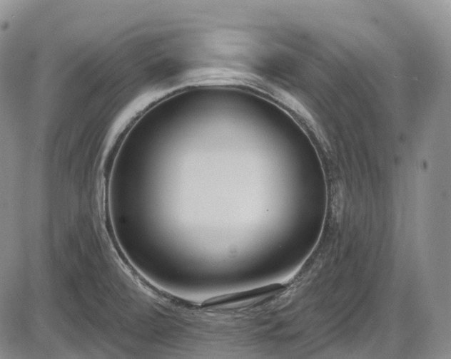 X0000086071472200703301054