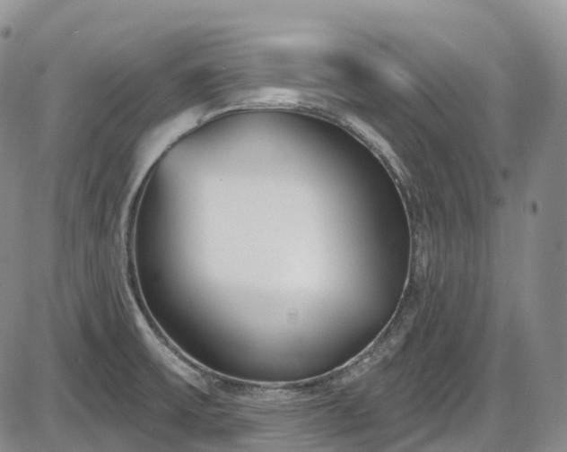 X0000086071475200703301054