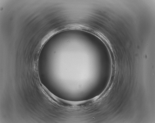 X0000086071481200703301054