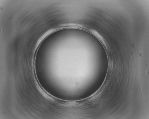 X0000086071482200703301054