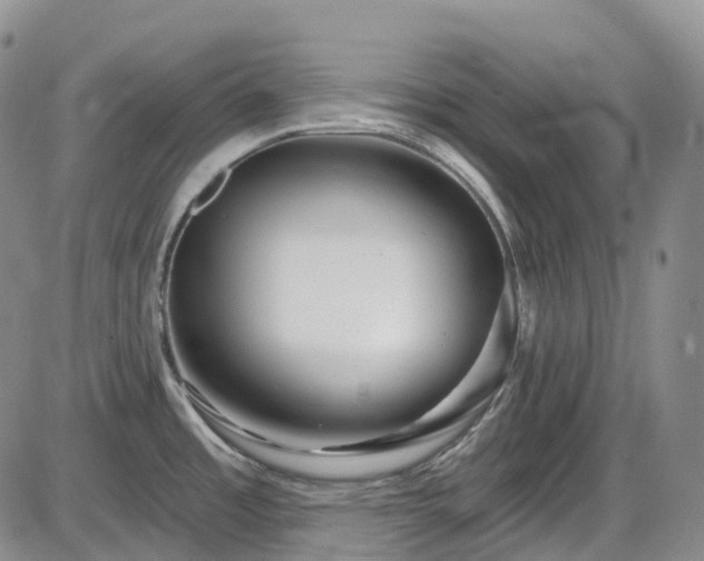X0000086071485200703301053