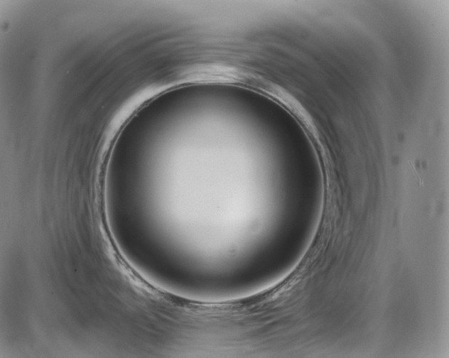 X0000086071488200703301053