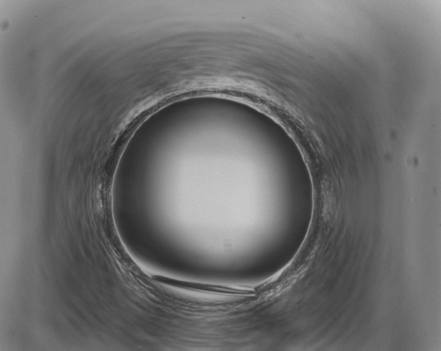 X0000086071497200703301053