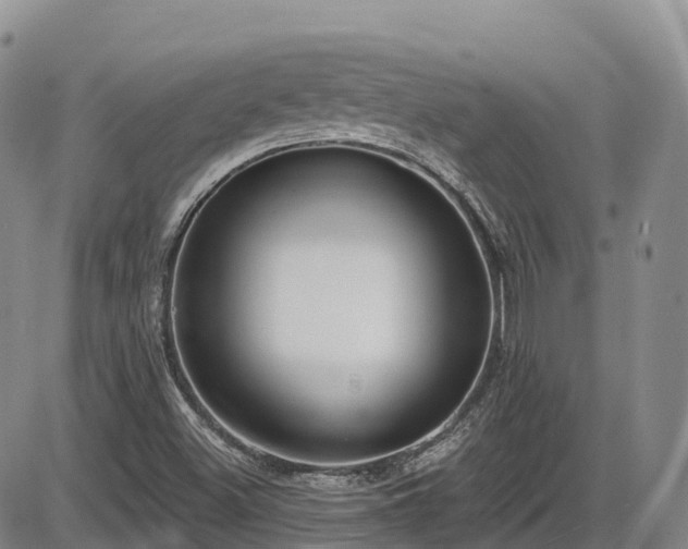 X0000086071500200703301053