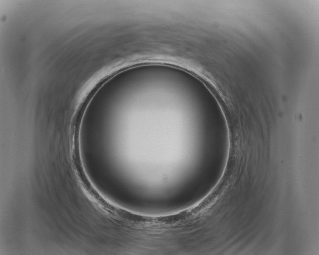 X0000086071511200703301053