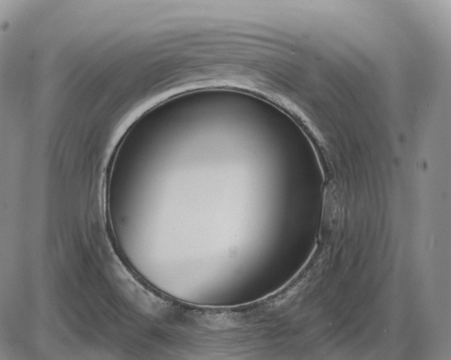 X0000086071516200703301053