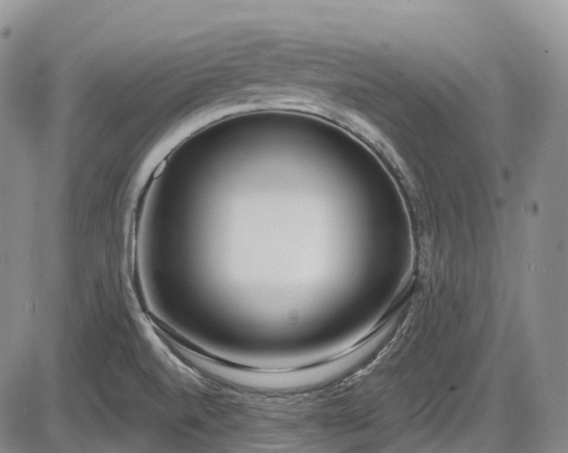 X0000086071520200703301053