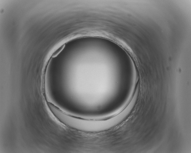 X0000086071528200703301053