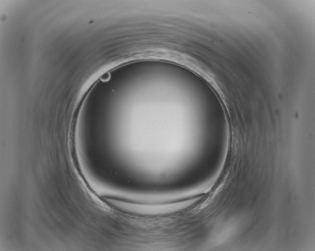 X0000086071533200703301053