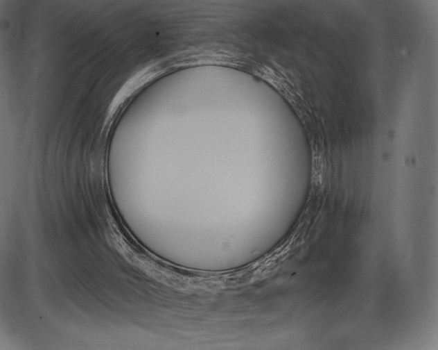 X0000086070004200704091247