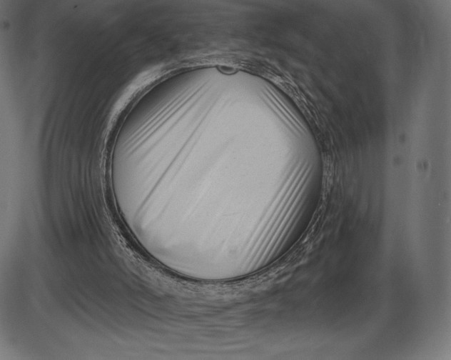 X0000086070006200704091247