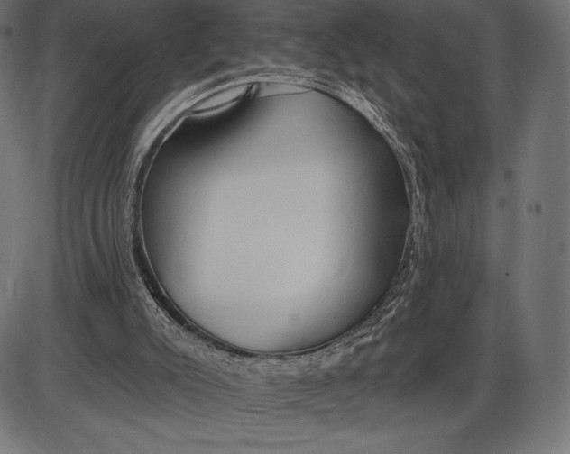 X0000086070007200704091247