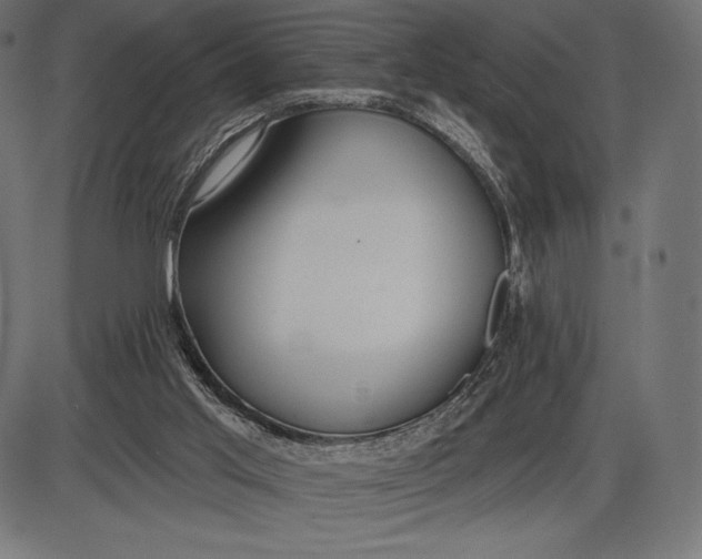 X0000086070013200704091247