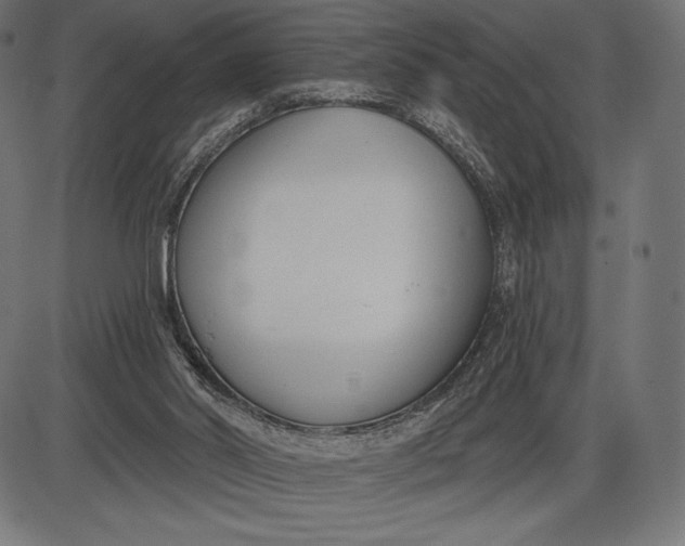 X0000086070014200704091247