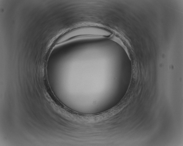 X0000086070015200704091247