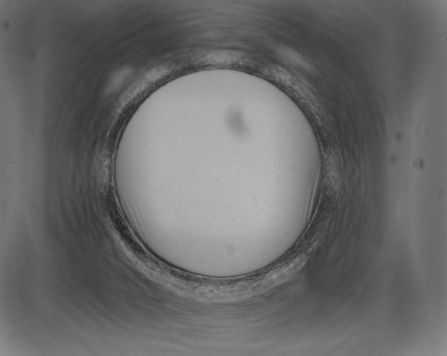 X0000086070016200704091247