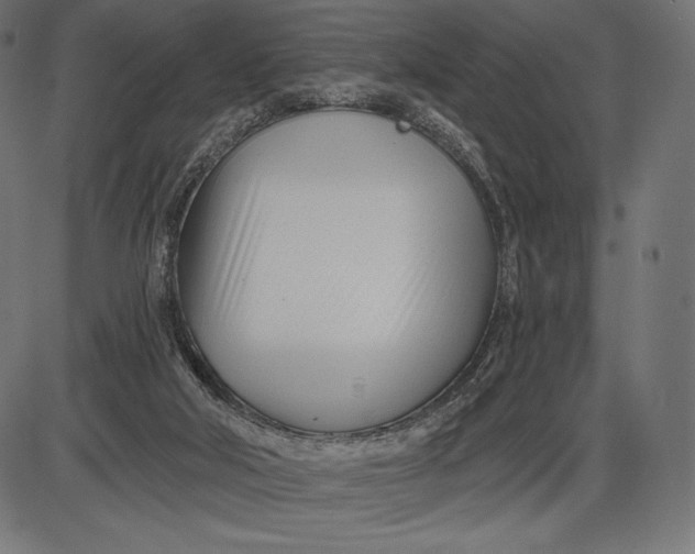 X0000086070018200704091247