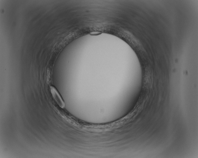 X0000086070025200704091247