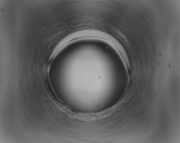 X0000086070029200704091247